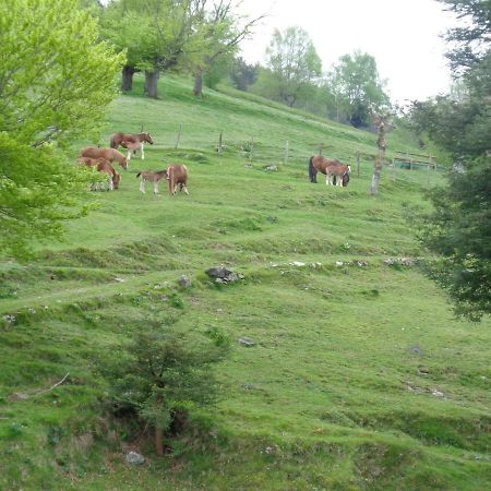 Villabona Casa Rural Alustiza 게스트하우스 외부 사진