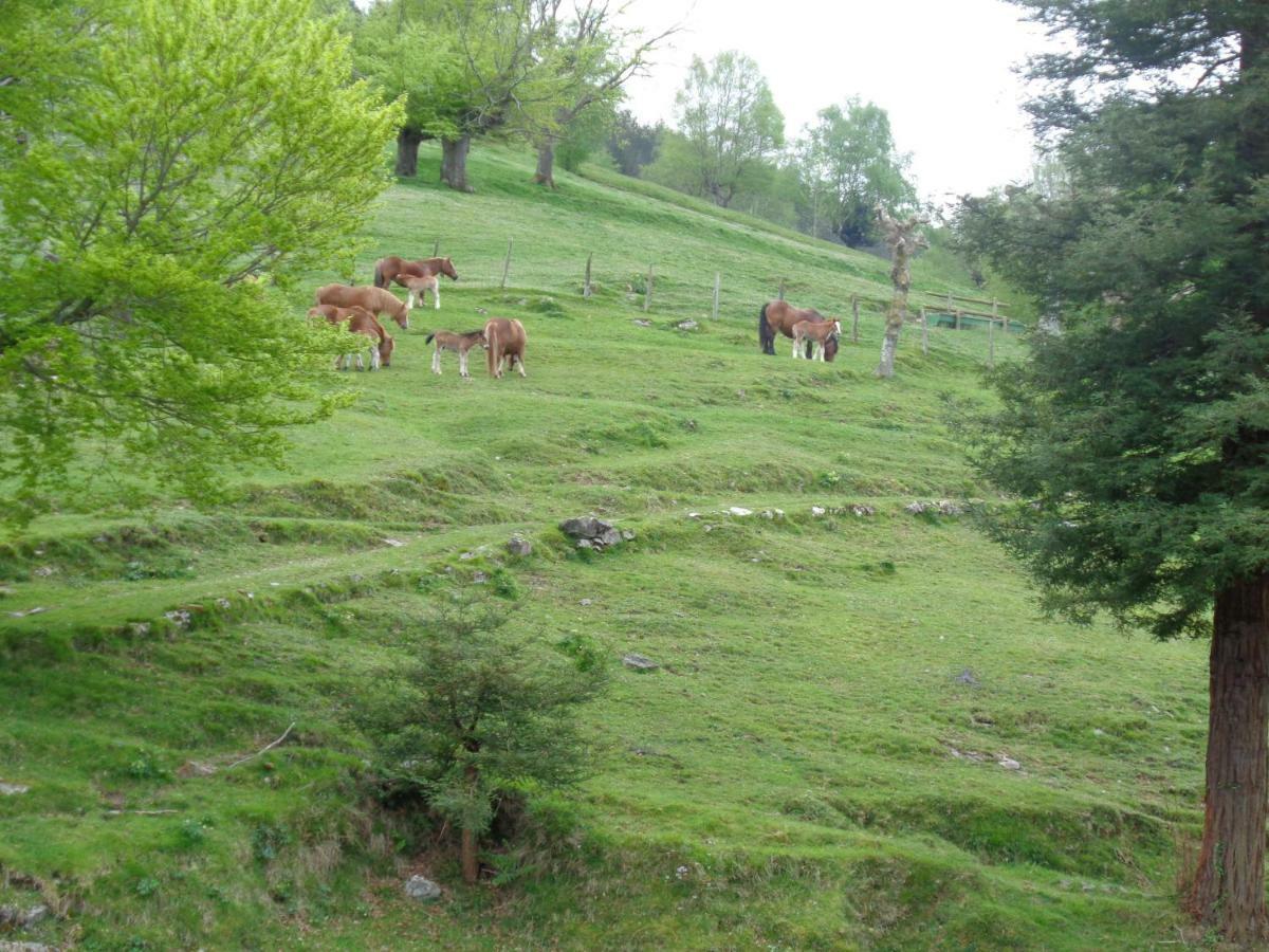 Villabona Casa Rural Alustiza 게스트하우스 외부 사진
